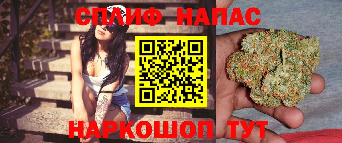 Каннабис сатива  Вход с VPN  Бошки Шишки Bruce Banner  Каннабис семена  Ковров 